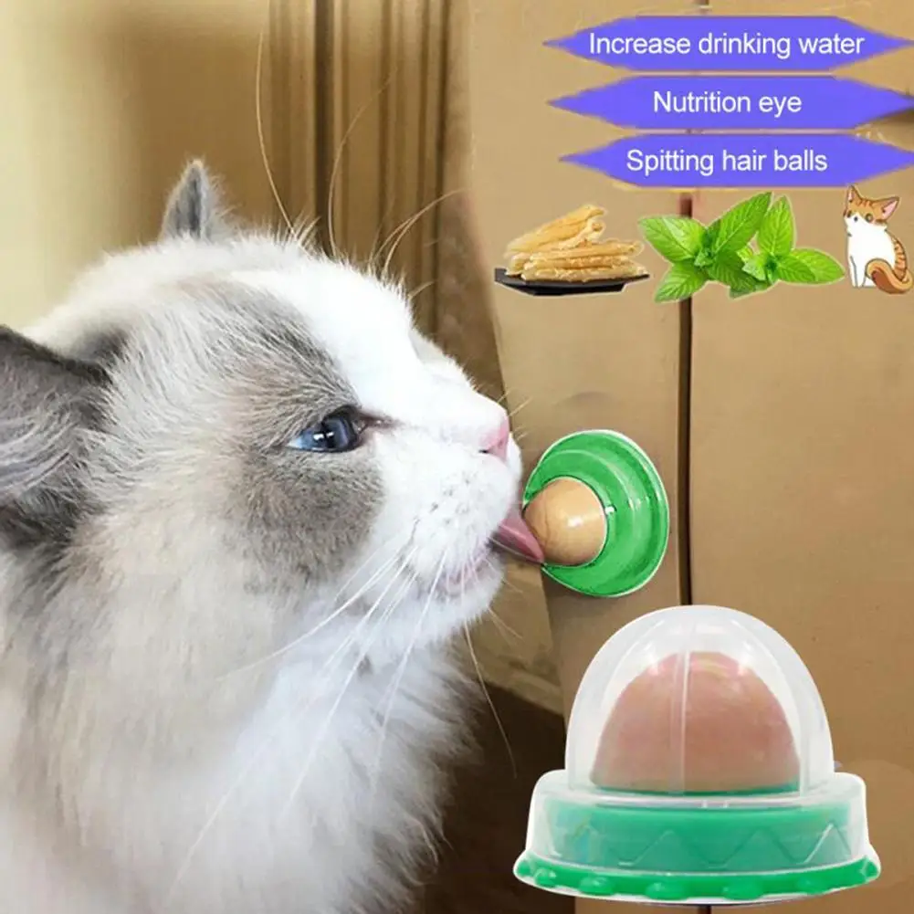 Doğal Kedi Catnip Topu Yuvarlak tozluk Etiket Tasarım Kedi Şeker Aperatifler Beslenme Gıda Yavru Pet Malzemeleri Güvenlik Sağlık
