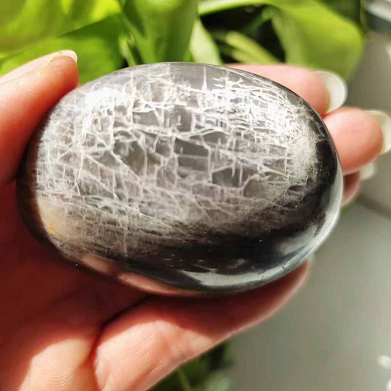 Doğal Taş Siyah Aytaşı Kristal Palmiye Reiki Taş Taş Çakra Taşları Ve Şifa Kristalleri Ev Mefruşat ürünleri