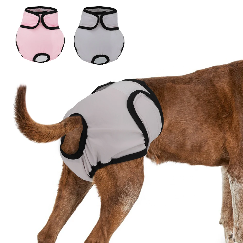 Kullanımlık Köpek Bezi Pantolon Fizyolojik Pantolon Yıkanabilir Kadın Kız Köpekler Şort Pantolon Emici Evcil Iç Çamaşırı Sıhhi Külot