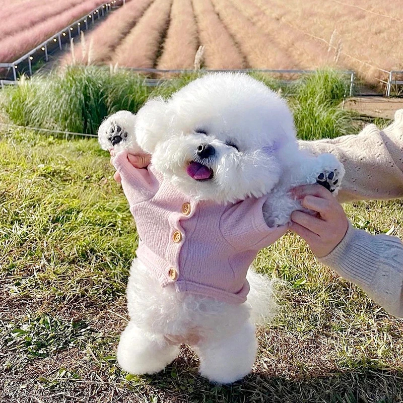 Kış Köpek Ceket Pet Soğuk geçirmez Giysiler Sıcak Köpek Giysileri Schnauzer Açık Gömlek Düz Renk Pet Köpek Polar XS-XL